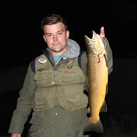 Hotell Toftemo Turiststasjon Dovre