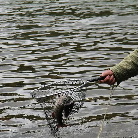 Hotell Toftemo Turiststasjon 3*