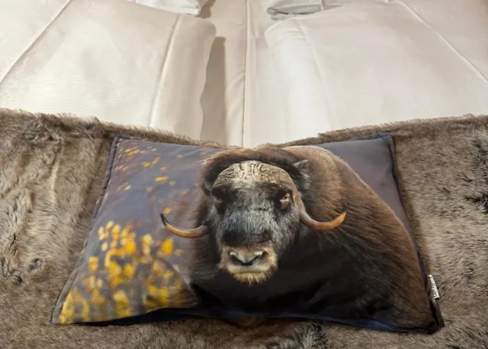 酒店 托福默旅馆