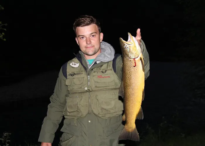 酒店 托福默旅馆 Dovre