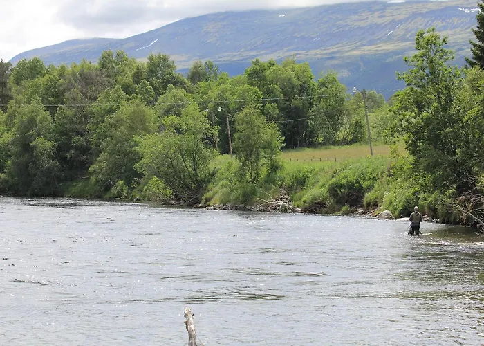 托福默旅馆 酒店