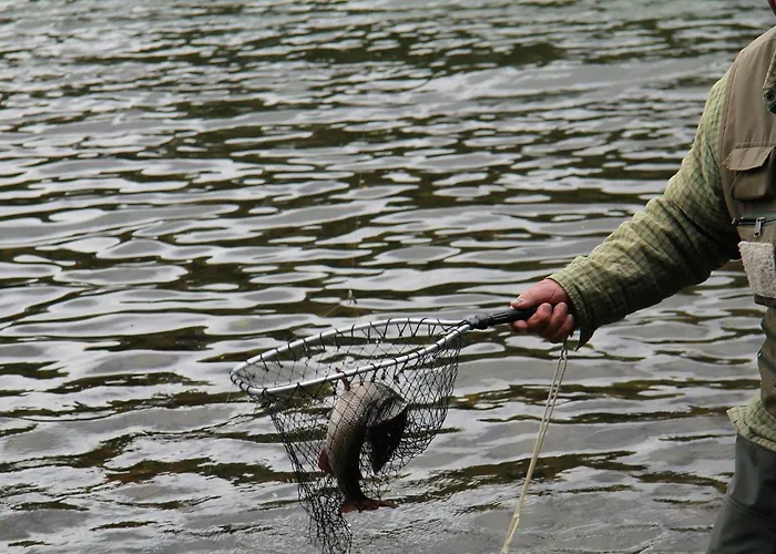 酒店 托福默旅馆 3*