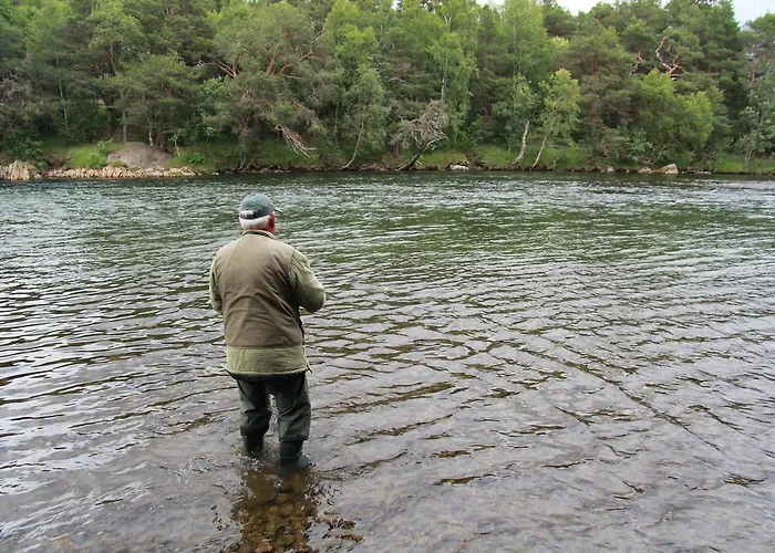 Toftemo Turiststasjon 3*